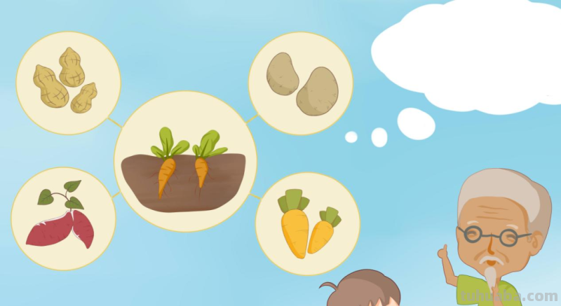 学龄前儿童适用的8种经典思维导图 学龄前儿童适用的8种经典思维导图