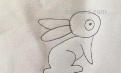怎么画兔子简笔画（兔子怎么画兔子简笔画）