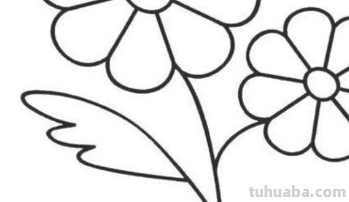 花怎么画简笔画（花怎么画简笔画又漂亮）