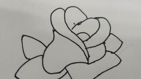 花怎么画简笔画（花怎么画简笔画又漂亮）