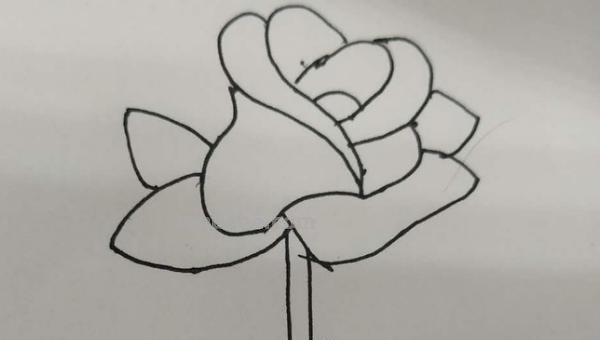 花怎么画简笔画（花怎么画简笔画又漂亮）