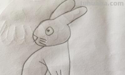 兔子怎么画简笔画（兔子怎么画简笔画图片）
