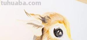 水溶彩铅怎么画(水溶彩铅怎么画星空) 水溶彩铅怎么画(水溶彩铅怎么画星空)