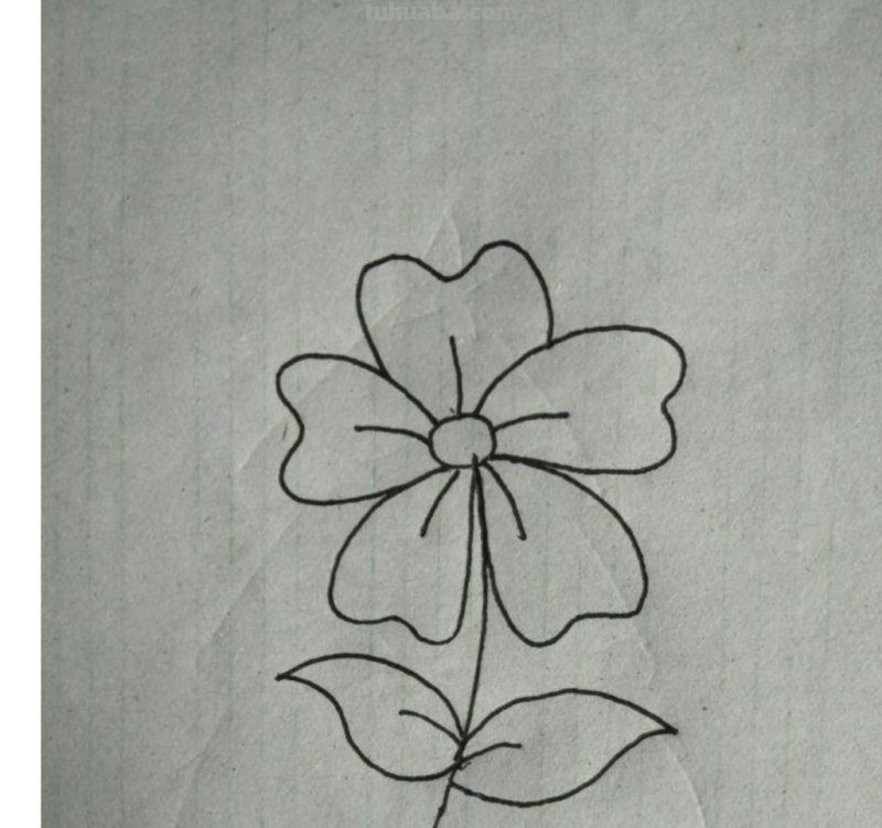 怎么画花简笔画（怎么画花简笔画图片大全）