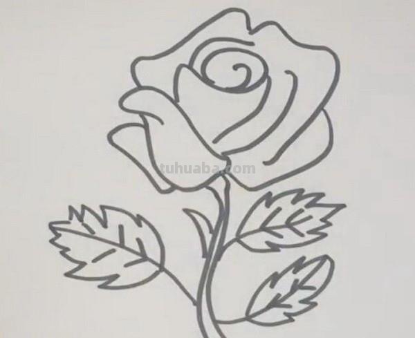 怎么画花简笔画（怎么画花简笔画图片大全）