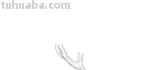 花朵的速写（花朵的速写图片）