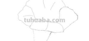 花朵的速写（花朵的速写图片）