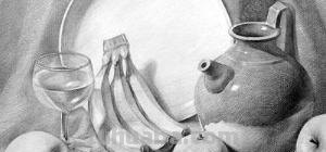 花朵的速写（花朵的速写图片）