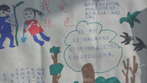 手抄报怎么画（手抄报怎么画简单又漂亮）