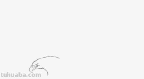 动物铅笔速写（动物铅笔速写图片）