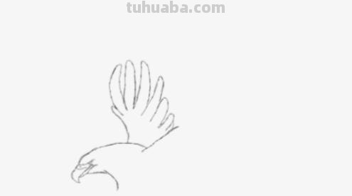 动物铅笔速写（动物铅笔速写图片）