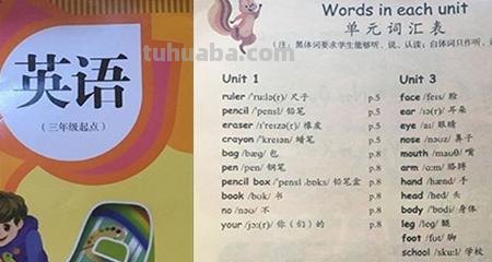 英语的思维导图怎么画（英语的思维导图怎么画 三年级）