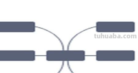 英语的思维导图怎么画（英语的思维导图怎么画 三年级）