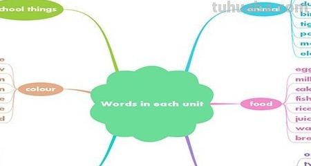 英语的思维导图怎么画（英语的思维导图怎么画 三年级）