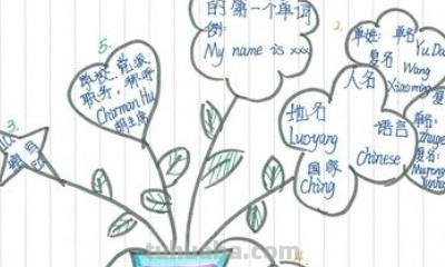 简单的思维导图怎么画（好看又简单的思维导图怎么画）