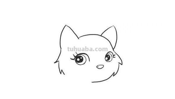 猫简笔画怎么画（小熊猫简笔画怎么画）