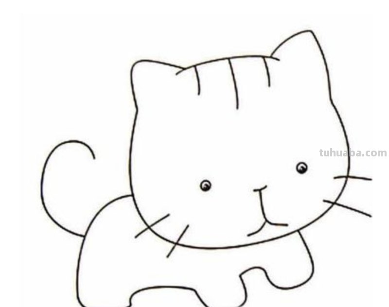 猫简笔画怎么画（小熊猫简笔画怎么画）