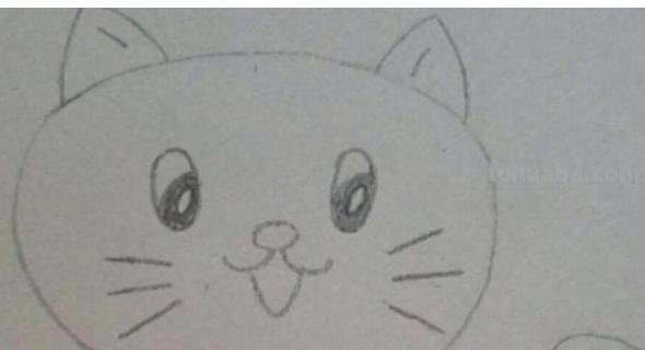 猫简笔画怎么画（小熊猫简笔画怎么画）