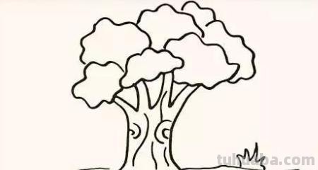 树怎么画简笔画（椰子树怎么画简笔画）