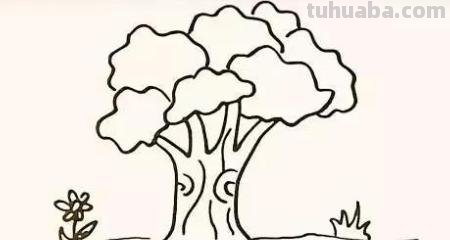 树怎么画简笔画（椰子树怎么画简笔画）