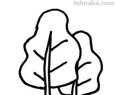 树怎么画简笔画（椰子树怎么画简笔画）