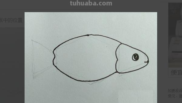 简笔画鱼怎么画（简笔画鱼的步骤）