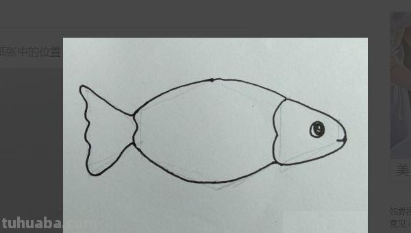 简笔画鱼怎么画（简笔画鱼的步骤）
