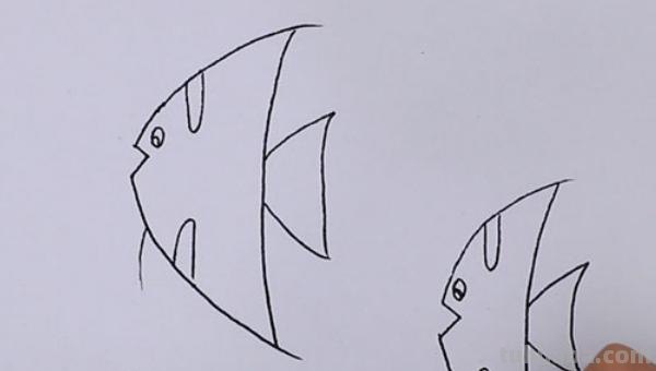 简笔画鱼怎么画（简笔画鱼的步骤）