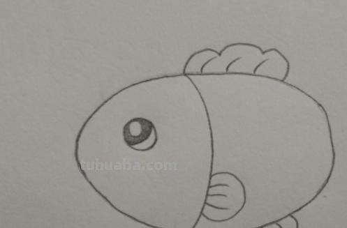 简笔画鱼怎么画（简笔画鱼的步骤）