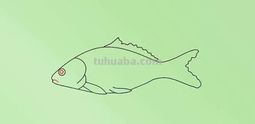 简笔画鱼怎么画（简笔画鱼的步骤）