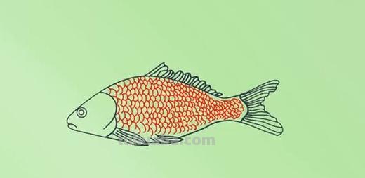 简笔画鱼怎么画（简笔画鱼的步骤）