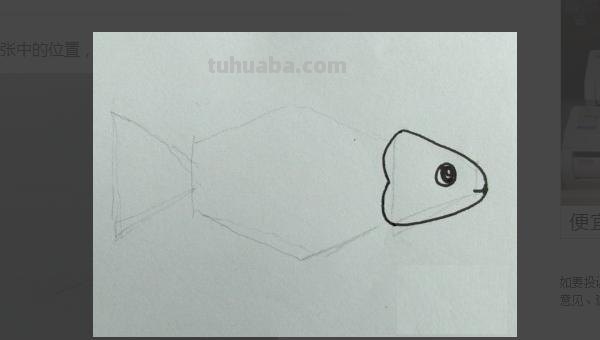 鱼怎么画简笔画（八爪鱼怎么画简笔画）