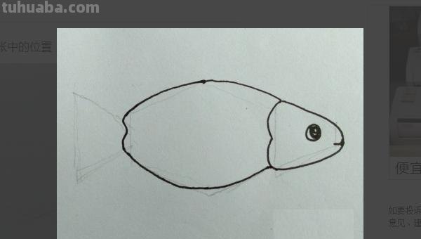 鱼怎么画简笔画（八爪鱼怎么画简笔画）