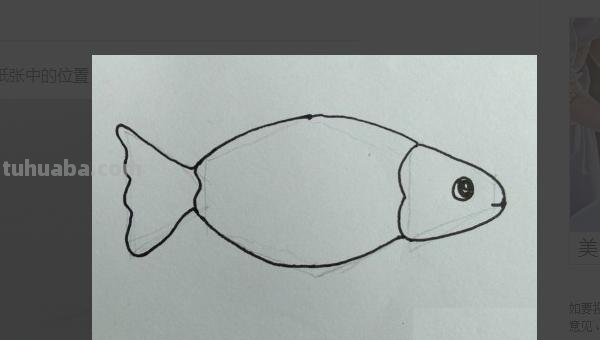 鱼怎么画简笔画（八爪鱼怎么画简笔画）