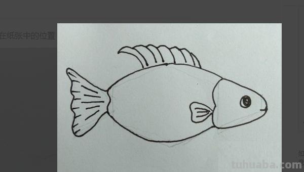 鱼怎么画简笔画（八爪鱼怎么画简笔画）