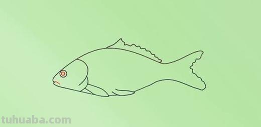 鱼怎么画简笔画（八爪鱼怎么画简笔画）