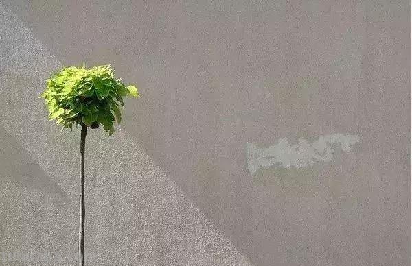 掌握这些技巧，你也能拍出好的极简摄影作品