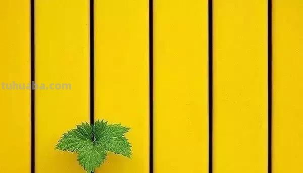 掌握这些技巧，你也能拍出好的极简摄影作品