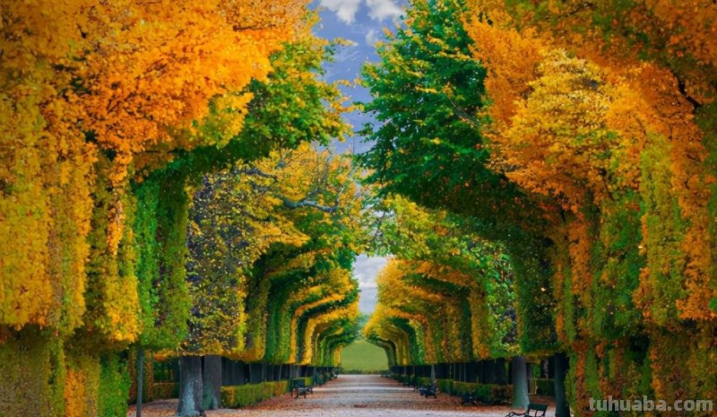 如何提升自己的摄影水平，这7个摄影技巧你值得一看