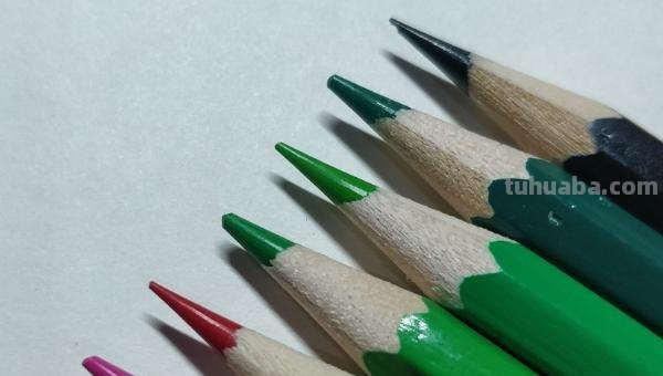 彩铅花怎么画（彩铅花怎么画横着的）