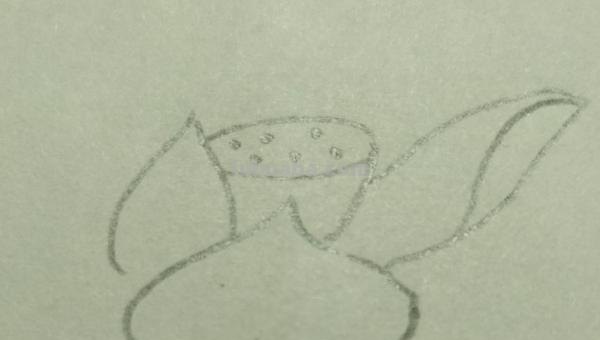 彩铅花怎么画（彩铅花怎么画横着的）