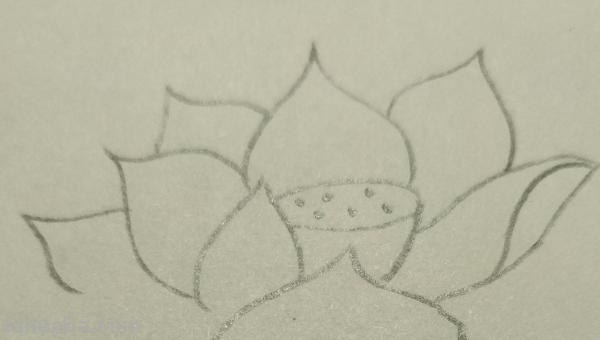 彩铅花怎么画（彩铅花怎么画横着的）