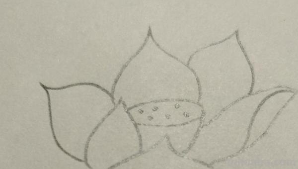 彩铅花怎么画（彩铅花怎么画横着的）