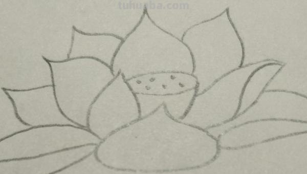 彩铅花怎么画（彩铅花怎么画横着的）