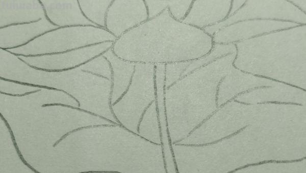 彩铅花怎么画（彩铅花怎么画横着的）