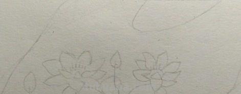 彩铅花怎么画（彩铅花怎么画横着的）