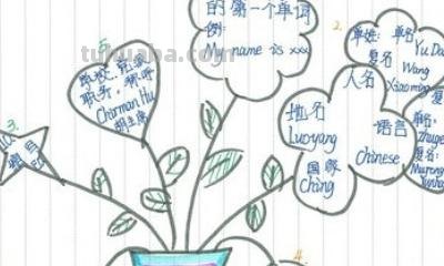 思维导图怎么画二年级（思维导图怎么画二年级下册）