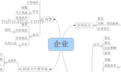 思维导图怎么画二年级（思维导图怎么画二年级下册）