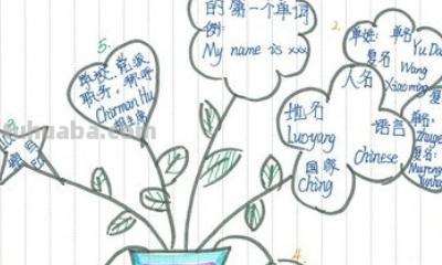 思维导图怎么画二年级（思维导图怎么画二年级下册）