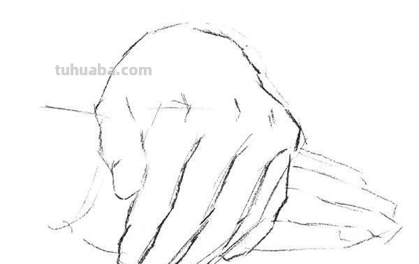 手部速写素材（手部速写讲解）